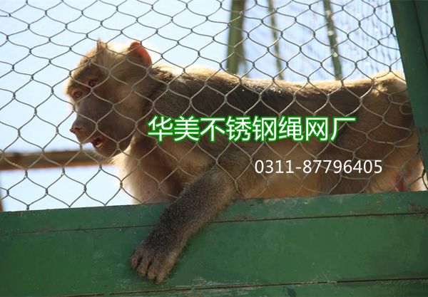 动物笼舍网，动物防护网，动物园防护网，动物围网，动物园笼舍网
