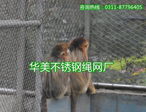 猕猴笼舍围栏网，猴舍围栏网，猴子笼舍围网，猴子防护网，猕猴笼防护网