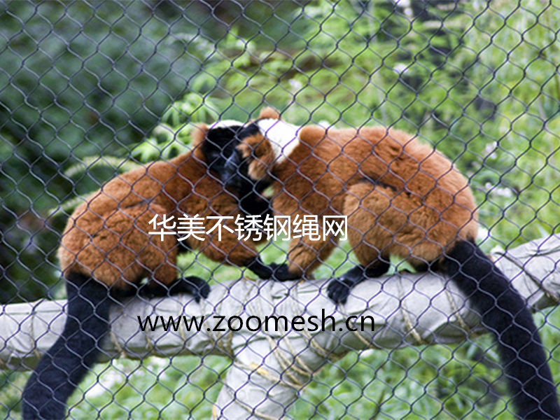 动物园不锈钢绳网，猫科动物防护网.jpg