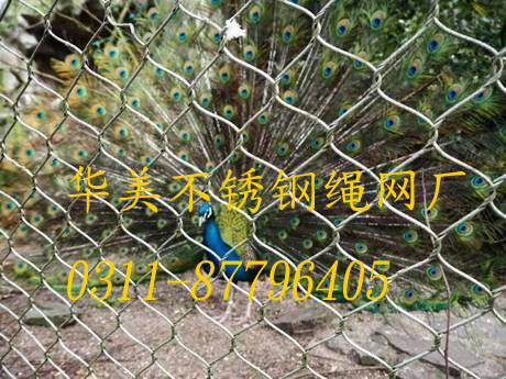 鸟类防护网，孔雀笼舍网.jpg