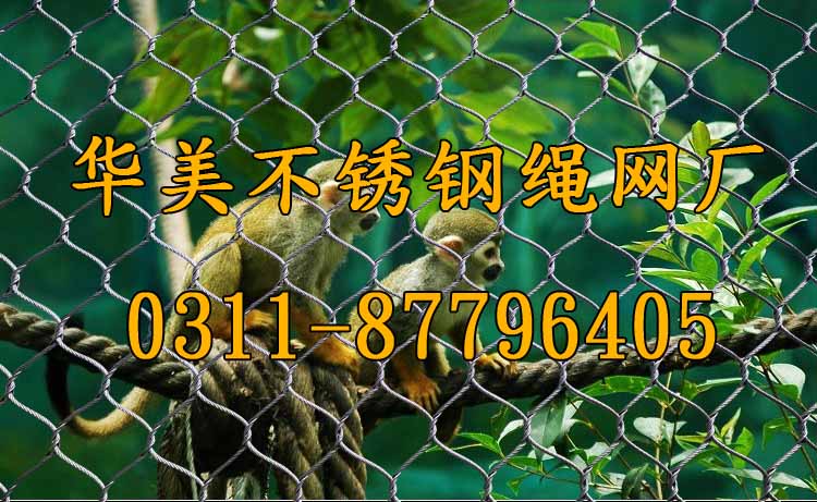 松鼠猴钢丝绳编织笼网、猴子笼舍网、不锈钢绳编织网.jpg