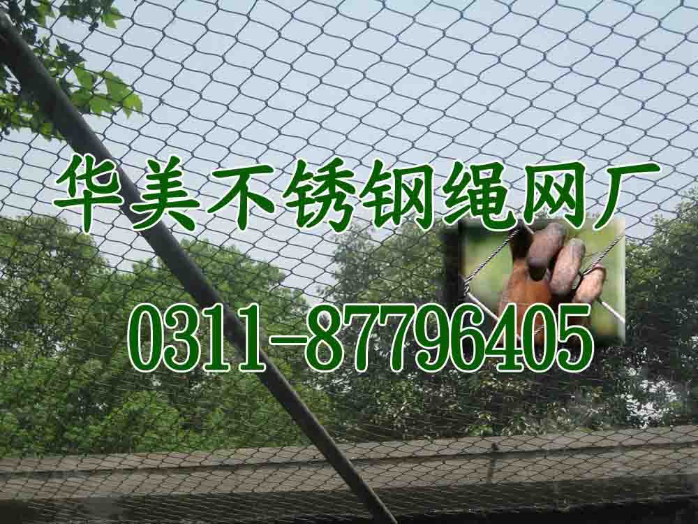 手工编织动物园猴子防护围网、卷尾猴钢丝绳围网.jpg