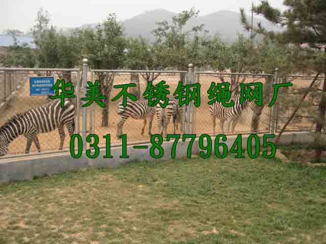 食草动物围栏网、长颈鹿不锈钢围栏网、钢丝绳斑马围网.jpg