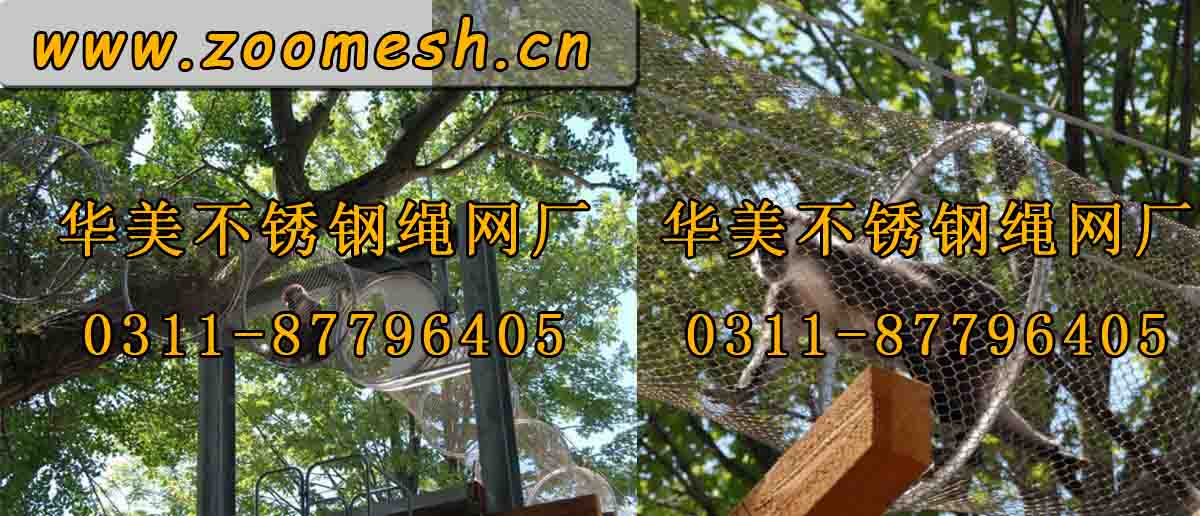 http://www.zoomesh.cn/index.php/Product/index/id/1 .jpg