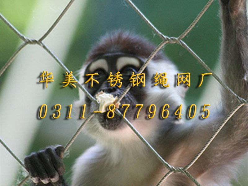 猴山猴笼猴舍猴围网、钢丝绳猴围网.jpg