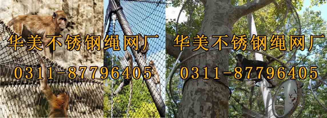 生态钢丝绳网、不锈钢猴笼舍网、动物通道网.jpg