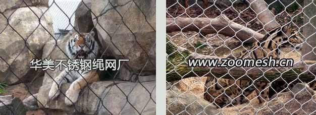 豹子金属编织钢丝绳网、不锈钢动物园围网.jpg