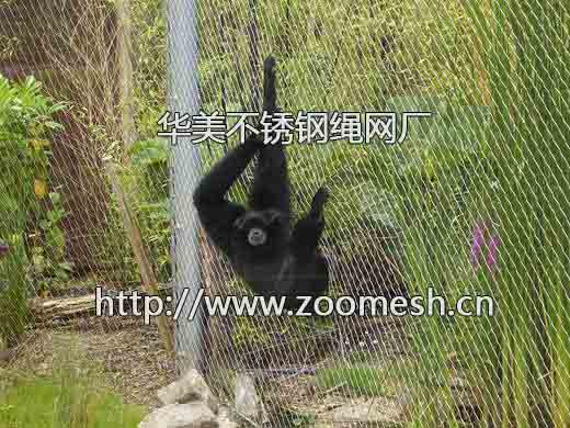 黑猩猩防护网、钢丝绳猩猩笼舍网.jpg