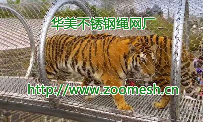 老虎金属不锈钢动物园网、老虎笼舍网、动物通道网.jpg
