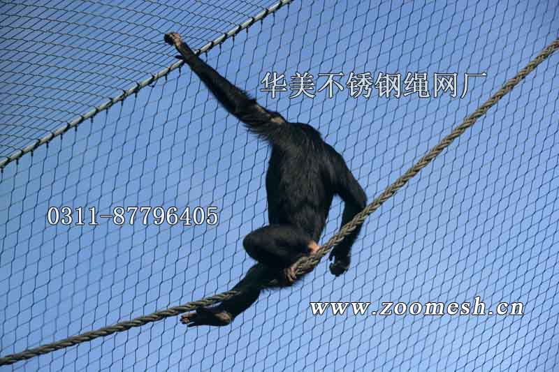 动物围栏网、大猩猩攀爬网、钢丝绳猴笼舍网.jpg