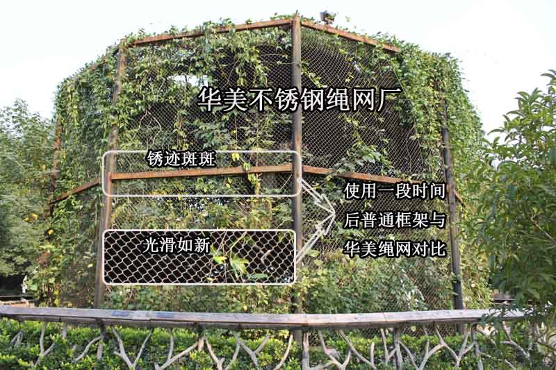 动物园钢丝绳网、动物园网中国领先工厂.jpg