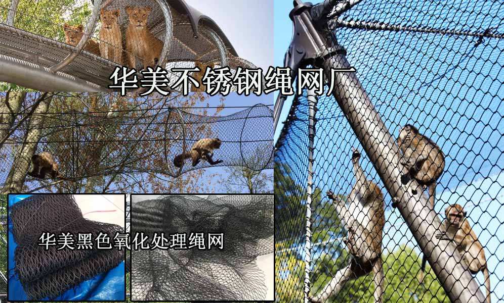 钢丝绳网设计动物园应用、防护网.jpg