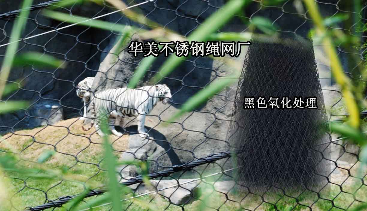钢丝绳野生动物围栏网、钢丝绳笼舍网.jpg