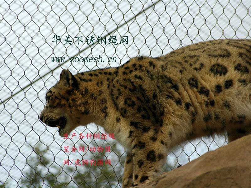 虎狮豹笼舍网、不锈钢丝网围栏.jpg