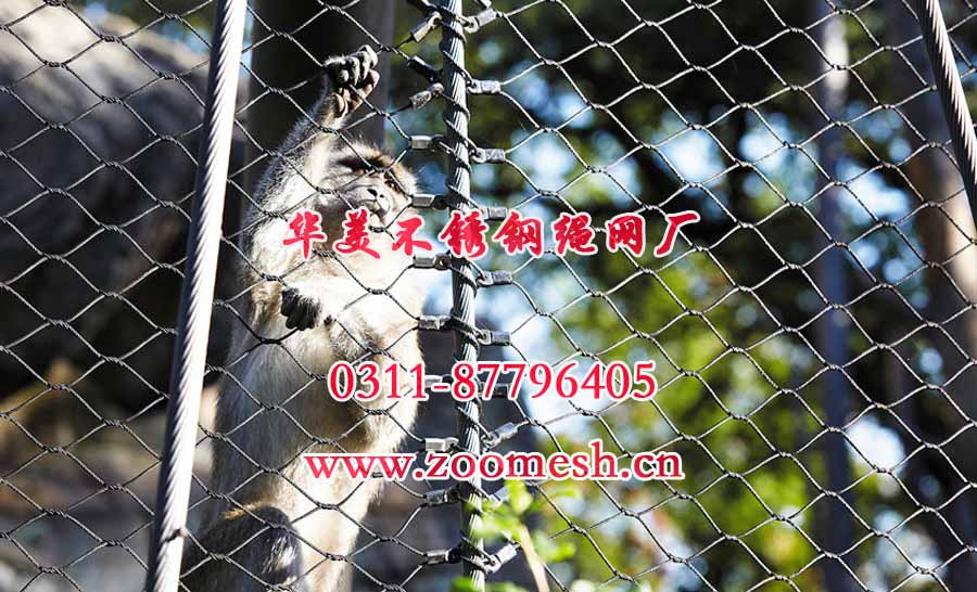 不锈钢动物攀爬网、电缆网、编织动物园网.jpg