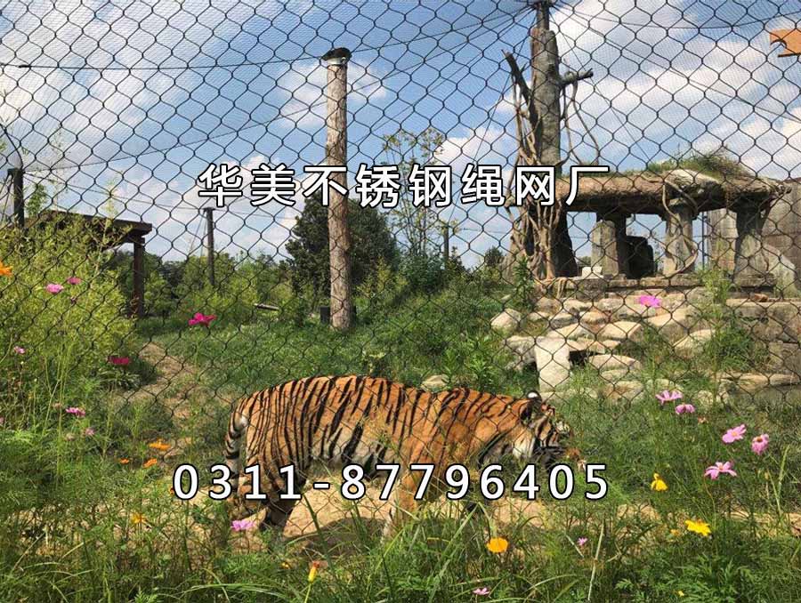 东北虎动物笼舍、钢丝绳网防护围栏.jpg