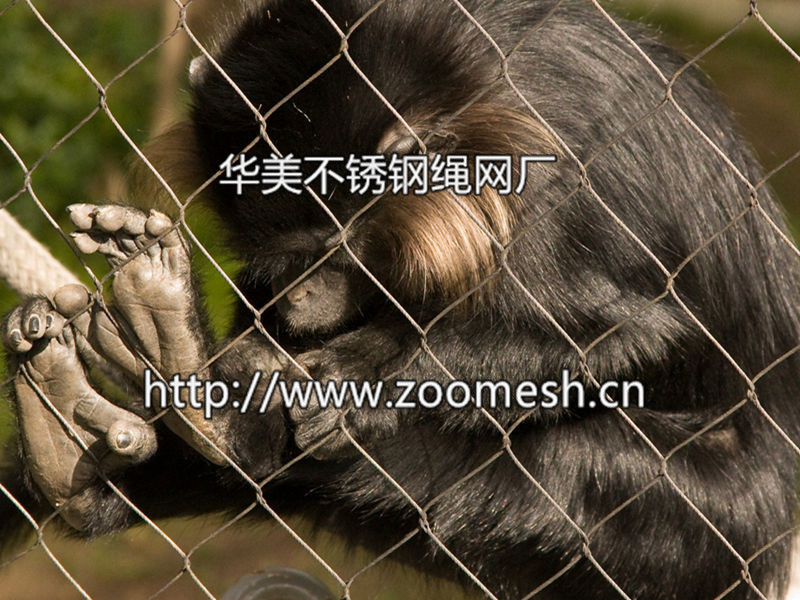猩猩围栏网、猩猩围网、猩猩笼舍网