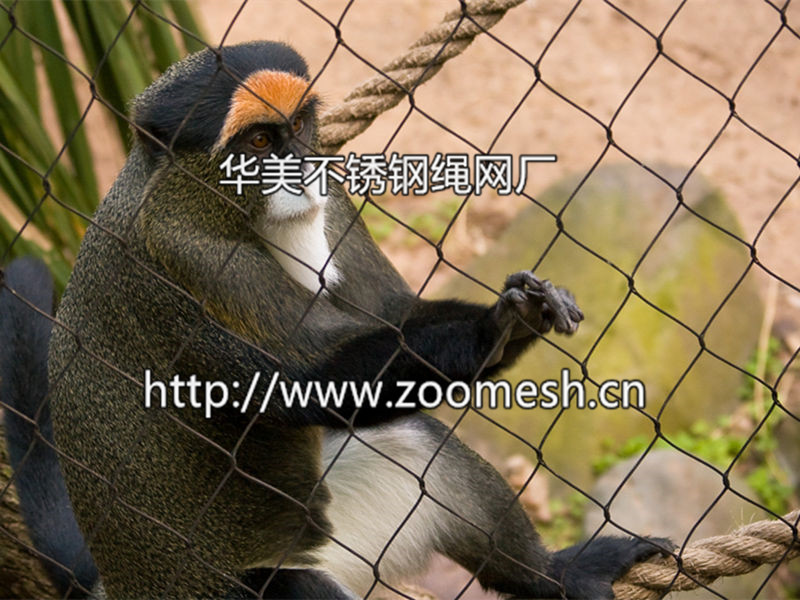 猴子围栏网、猴围网、猴子笼舍网