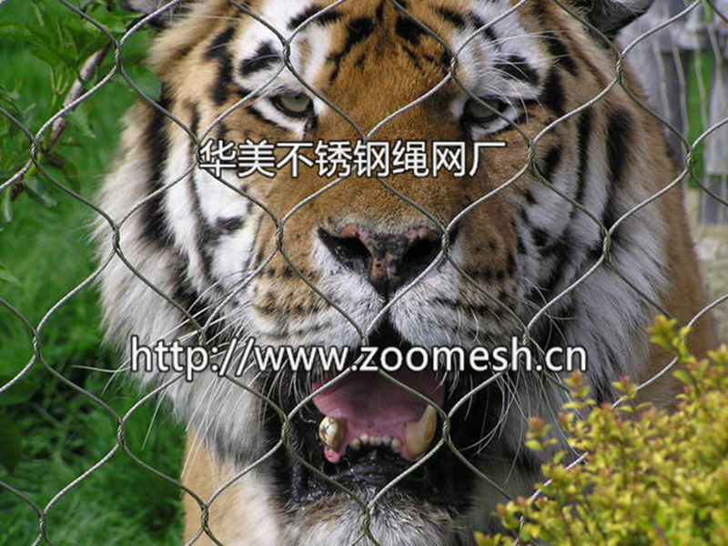 老虎笼舍，老虎围网，老虎围栏网，动物园笼舍网