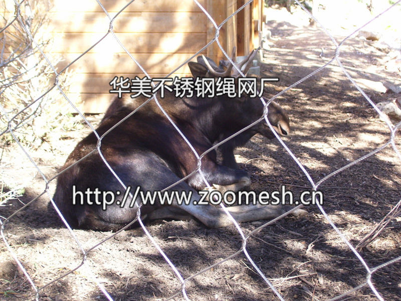 鹿围网，动物围网，动物笼舍，动物园专用网
