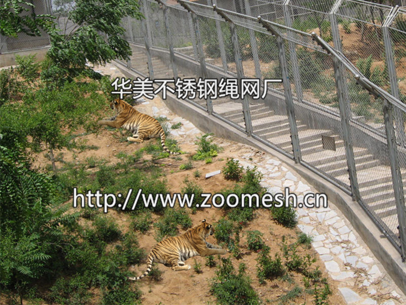 动物围栏网、动物围网、动物笼舍、老虎围网、老虎笼舍