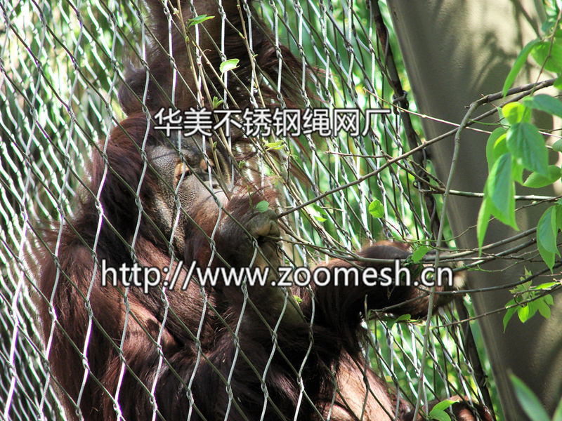 动物园用网、动物用网、动物笼舍、动物围网