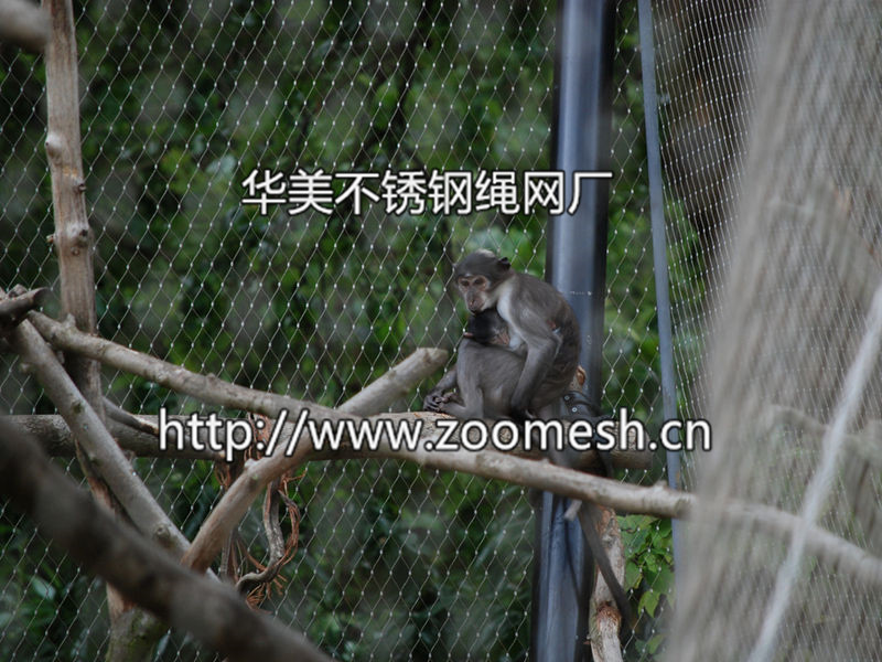猴子围栏、猴围网、猴笼舍网、不锈钢猴围网、灵长类动物围网