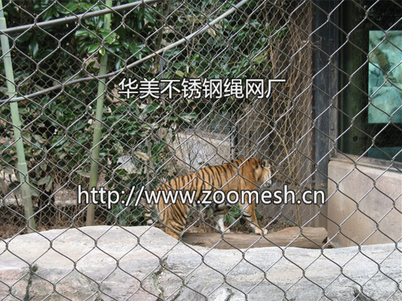 动物笼舍金属丝网、动物围网、动物园专用网、动物笼舍丝网