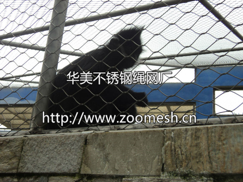 猩猩隔离防护网、猩猩围网、猩猩专用笼舍防护网、猩猩不锈钢网