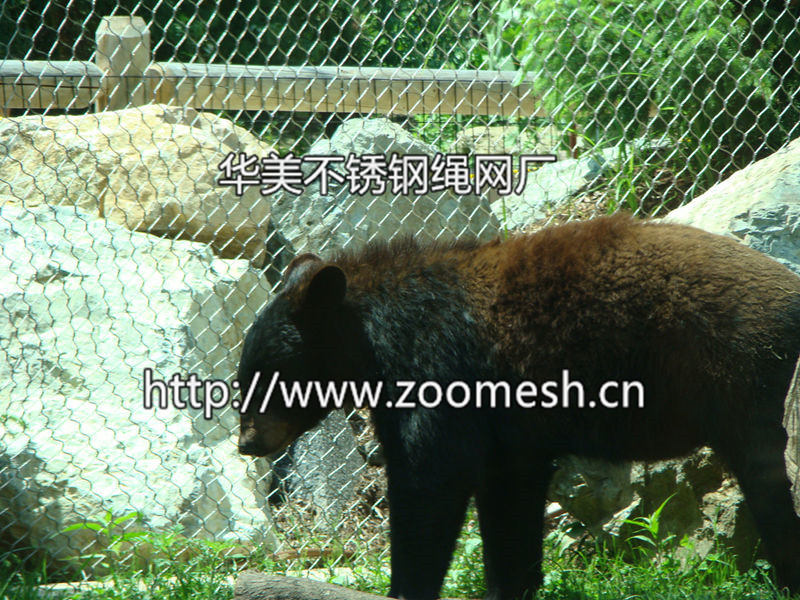 熊园围栏网、黑熊笼舍网、不锈钢熊围网、钢丝绳熊防护网