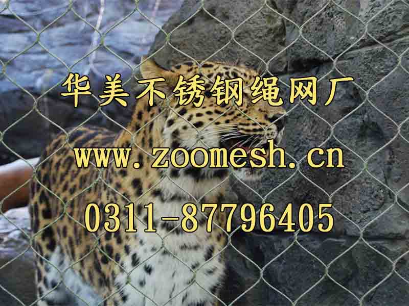 美洲狮笼围网、大猫科动物笼舍网